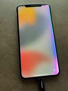 iPhone X 10 ジャンク品 SIMロック解除済　部品取り用　　アイフォン 10