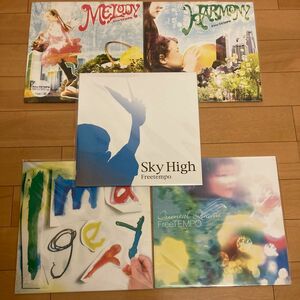 Freetempo フリーテンポ　アナログ盤　レコード　半沢武志　Skyhigh 