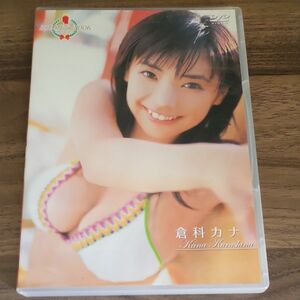 ミスマガジン2006 倉科カナ [DVD] 