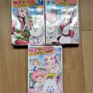 加護なし令嬢の小さな村〜さあ領地運営を始めましょう〜　1巻　2巻　4巻　　計3巻