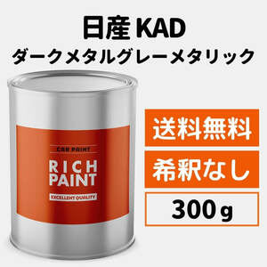 日産 ダークメタルグレーメタリック KAD 車 塗料 希釈なし ロックペイント 1液ベース プロ キズ 補修 NISSAN 300g RICHPAINT