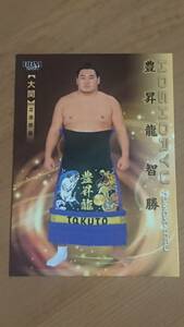 豊昇龍 2024BBM 大相撲カード 響 レギュラーカード #03 大関
