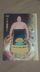 琴ノ若 2024BBM 大相撲カード 響 レギュラーカード #05 大関