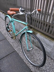 Bianchi VIAGGIObi Anne ki Via  geo Junk 