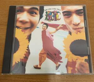 CD:MAGIC DREAMES COME TRUE ドリームズ・カム・トゥルー go for it！/雨の終わる場所 全12曲