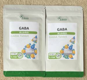 [ free shipping ]GABA approximately 2 months minute (1 months minute 60 bead ×2 sack )T-758gyabaγ- amino . acid supplement lipsa