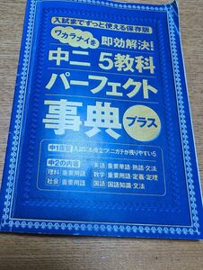 進研ゼミ　中学生講座