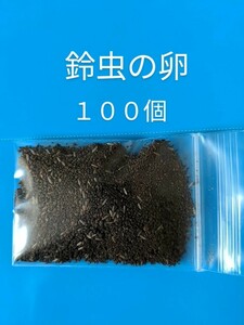 鈴虫の卵/１００個