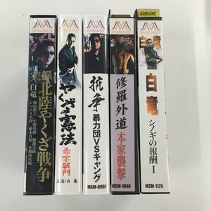  free shipping *YS_066* [VHS] white dragon performance work 5 pcs set [VHS]