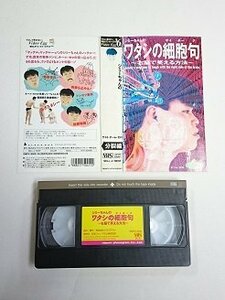  бесплатная доставка *01213* [VHS]watasi. маленький .. правый .. смех .. способ [VHS]