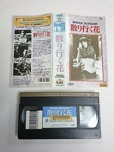 送料無料◆00413◆ [VHS] 散り行く花 字幕スーパー版 BROKEN BLOSSOMS [VHS]