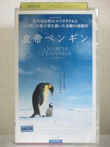  free shipping *13422* emperor penguin dubbed version voice. performance : large ....[VHS]