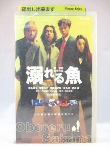 送料無料★02602★溺れる魚 CAST:椎名桔平 [VHS]