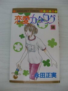 G送料無料◆G01-12999◆恋愛カタログ 14巻 永田正実 集英社【中古本】