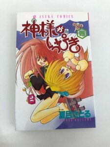 G01 00652 神様がいっぴき 4巻 夏目さとる 角川書店【中古本】