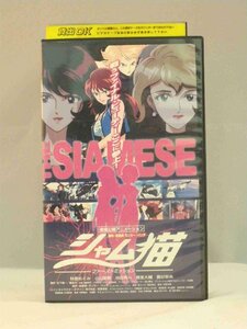 送料無料◆00470◆[VHS] シャム猫 ファーストミッション [VHS]