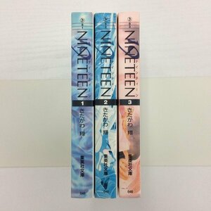 [GB120] 19 NINETEEN ナインティーン 1~3巻 （文庫版）3冊セット 【中古品】