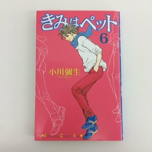 G01 00182 きみはペット 6巻 小川彌生 講談社【中古本】