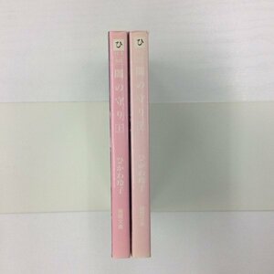 [GB075] 闇の守り　上下巻 (文庫版) 全巻【中古品】