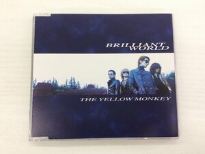 G2 53889 ♪CD 「BRILLIANT WORLD THE YELLOW MONKEY」 FHCF-5019【中古】