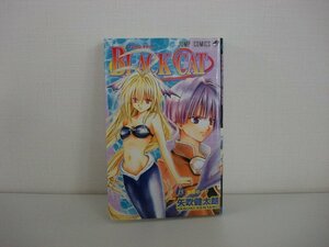 G送料無料◆G01-08646◆BLACK CAT 15巻 激闘のイヴ 矢吹健太朗 集英社【中古本】