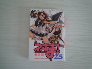 G送料無料◆G01-09357◆魔法先生 ネギま! MAGISTER NEGIMAGI 25巻 赤松健 講談社【中古本】