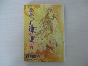 G送料無料◆G01‐12241◆ああっ女神さまっ 14巻 藤島康介 講談社【中古本】