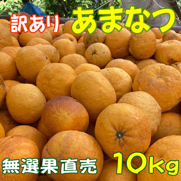 あまなつ 甘夏 １０ｋｇ（訳あり） 送料無料 初夏の味覚を産地直送