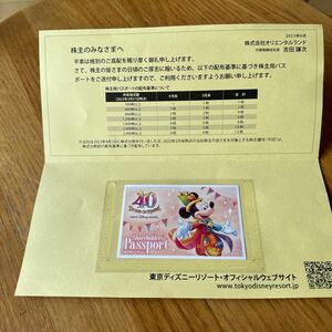 東京ディズニーリゾート チケット　株主優待　未使用　2024年6月30日まで