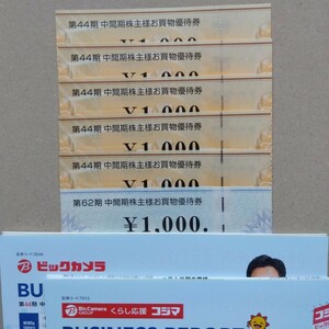 ビックカメラ　コジマ　株主優待券　6000円分(1000円券×6枚)