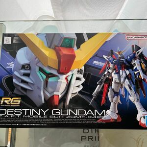 機動戦士ガンダムSEED RGデスティニーガンダム1/144