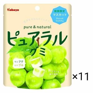 カバヤピュアラルグミ マスカット 58g×11袋