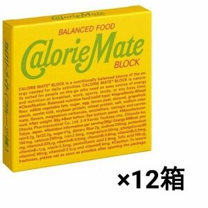 カロリーメイト ブロック フルーツ味　4本入り×12個セット
