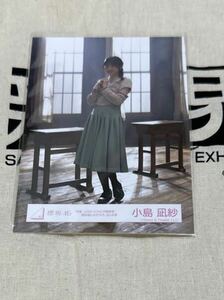 櫻坂46 「何度 LOVE SONGの歌詞を読み返しただろう」生写真 ヒキ 小島凪紗