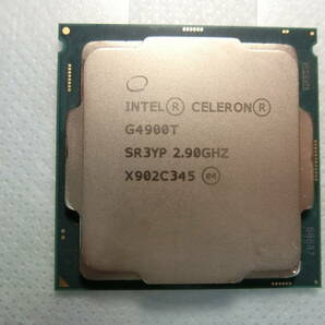 送料無料　CPU Intel Celeron G4900T