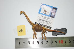 ◎◎お宝　海洋堂監修●チョコラザウルス恐竜・古代生物　フラキオザウルス　骨格　23　