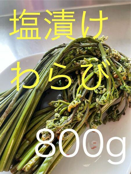 わらび　塩漬け　800g ②