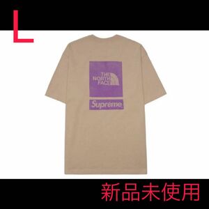 Supreme The North Face S/S Top Khaki 