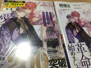 「売られた辺境伯令嬢は隣国の王太子に溺愛される」7巻