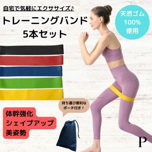 トレーニングチューブ　トレーニングバンド エクササイズ　筋トレ　ダイエット　5本セット　ストレッチ　ジム　ダイエット