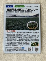 水の恵みカード　香川用水地区のブロッコリー　香川県　マンホールカード_画像1