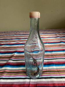  蛤虫介酒　トカゲ酒のなごり　瓶と乾燥トカゲのみ　剥製標本