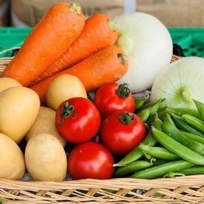 【農家直送】茨城県産野菜詰め合わせ　野菜セット　野菜ボックス　80サイズ