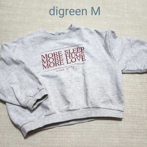 digreen スウェット ヴィンテージ 100size M 韓国ブランド