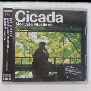 ＜美品＞　槇原敬之　　/　　Cicada　　（CD2枚組）　　帯付　　国内正規セル版　