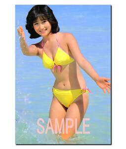 ◇◇　岡田有希子　Ａ３　ポスター　超光沢　大判　４２cm×３０.５cm ！　生 写真　◇505◇ ジュニア アイドル 等身大 風 Ｌ