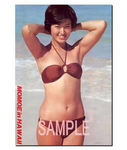 ** Yamaguchi Momoe A3 постер супер глянец большой размер 42cm×30.5cm! life photograph *336* Junior идол в натуральную величину способ L