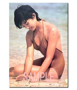 ◇◇　山口百恵　Ａ３　ポスター　超光沢　大判　４２cm×３０.５cm ！　生 写真　◇346◇ ジュニア アイドル 等身大 風 Ｌ