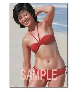 ◇◇　山口百恵　Ａ３　ポスター　超光沢　大判　４２cm×３０.５cm ！　生 写真　◇317◇ ジュニア アイドル 等身大 風 Ｌ