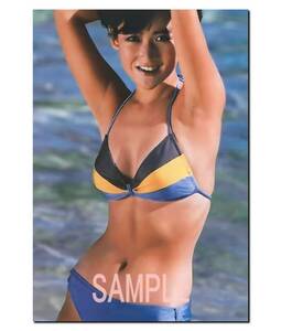 ◇◇　岡田有希子　Ａ３　ポスター　超光沢　大判　４２cm×３０.５cm ！　生 写真　◇540◇ ジュニア アイドル 等身大 風 Ｌ